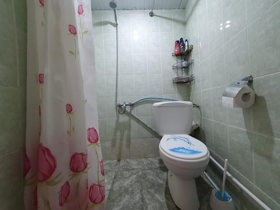 Shower, Toilet