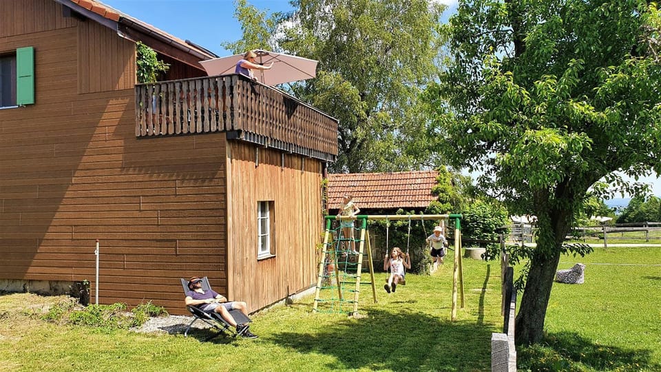 Children play ground, Game Room, Garden, Garden view