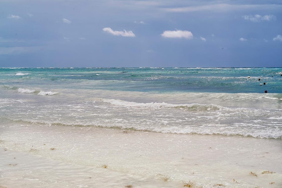 Day, People, Natural landscape, Beach, Sea view, group of guests