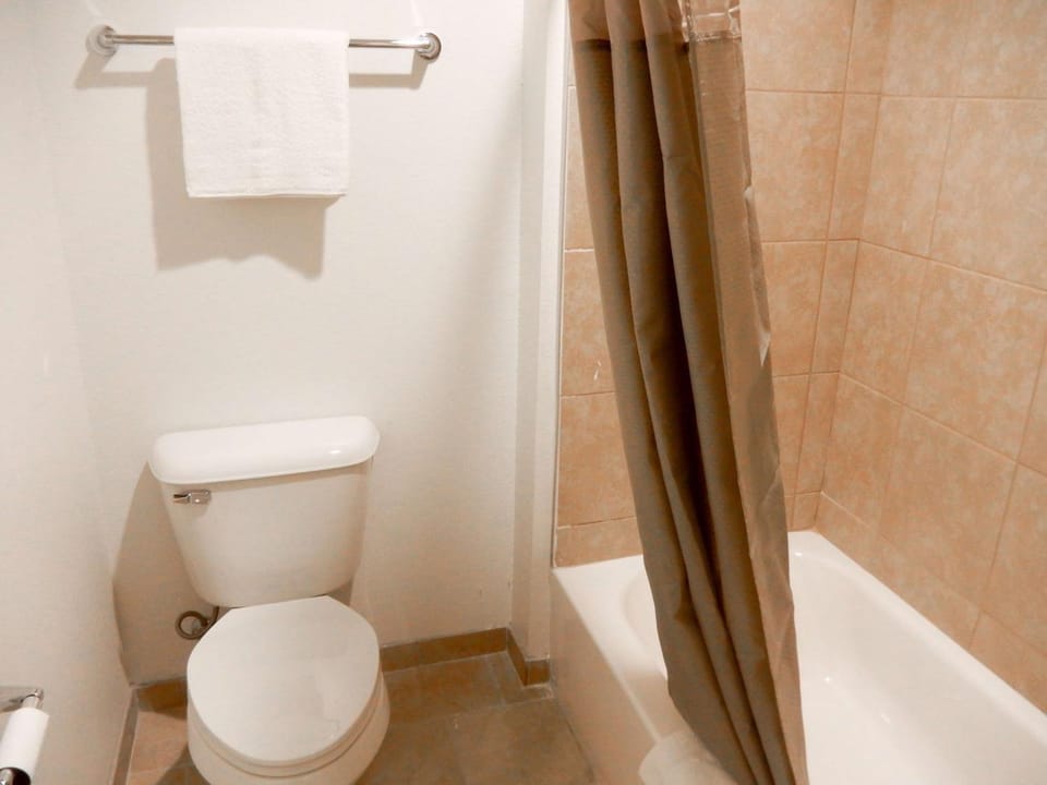 Toilet, Bathroom, Photo of the whole room, On site