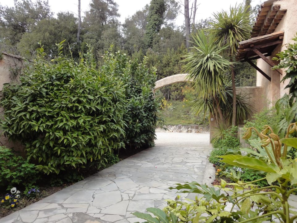 Property building, Garden