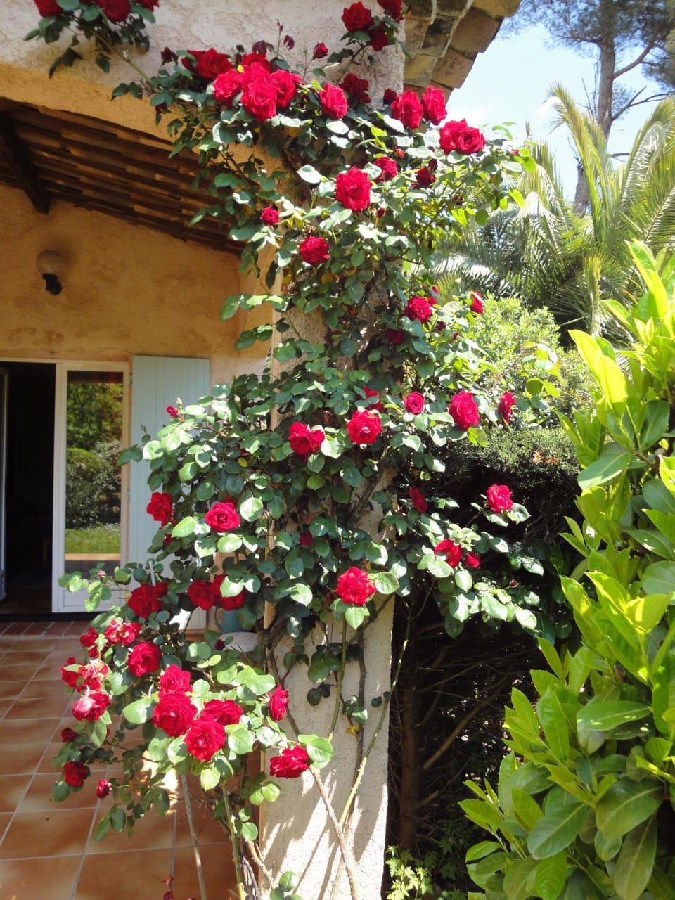 Property building, Balcony/Terrace