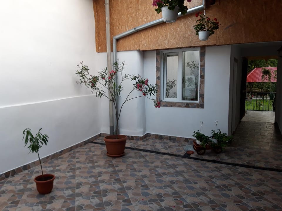 Casa Valea Morilor Country House in Serbia