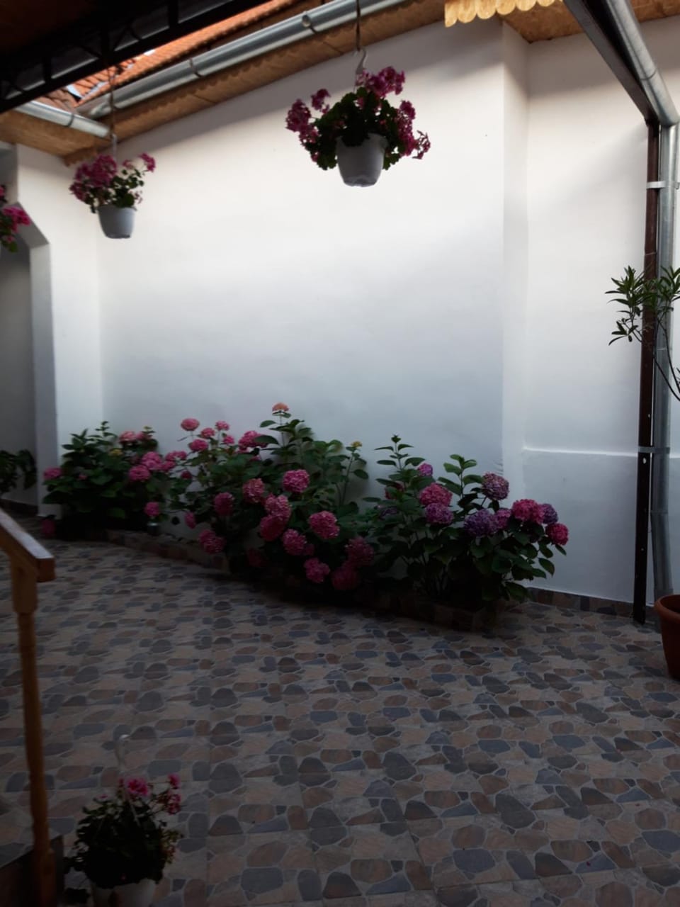 Casa Valea Morilor Country House in Serbia