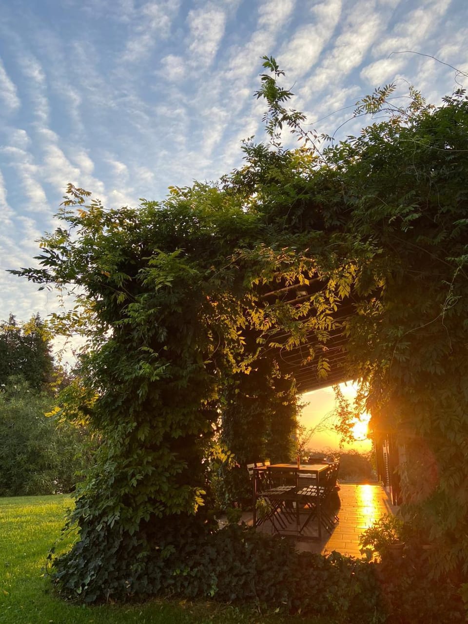 Property building, Patio, Spring, Natural landscape, Garden, Garden view, Sunrise