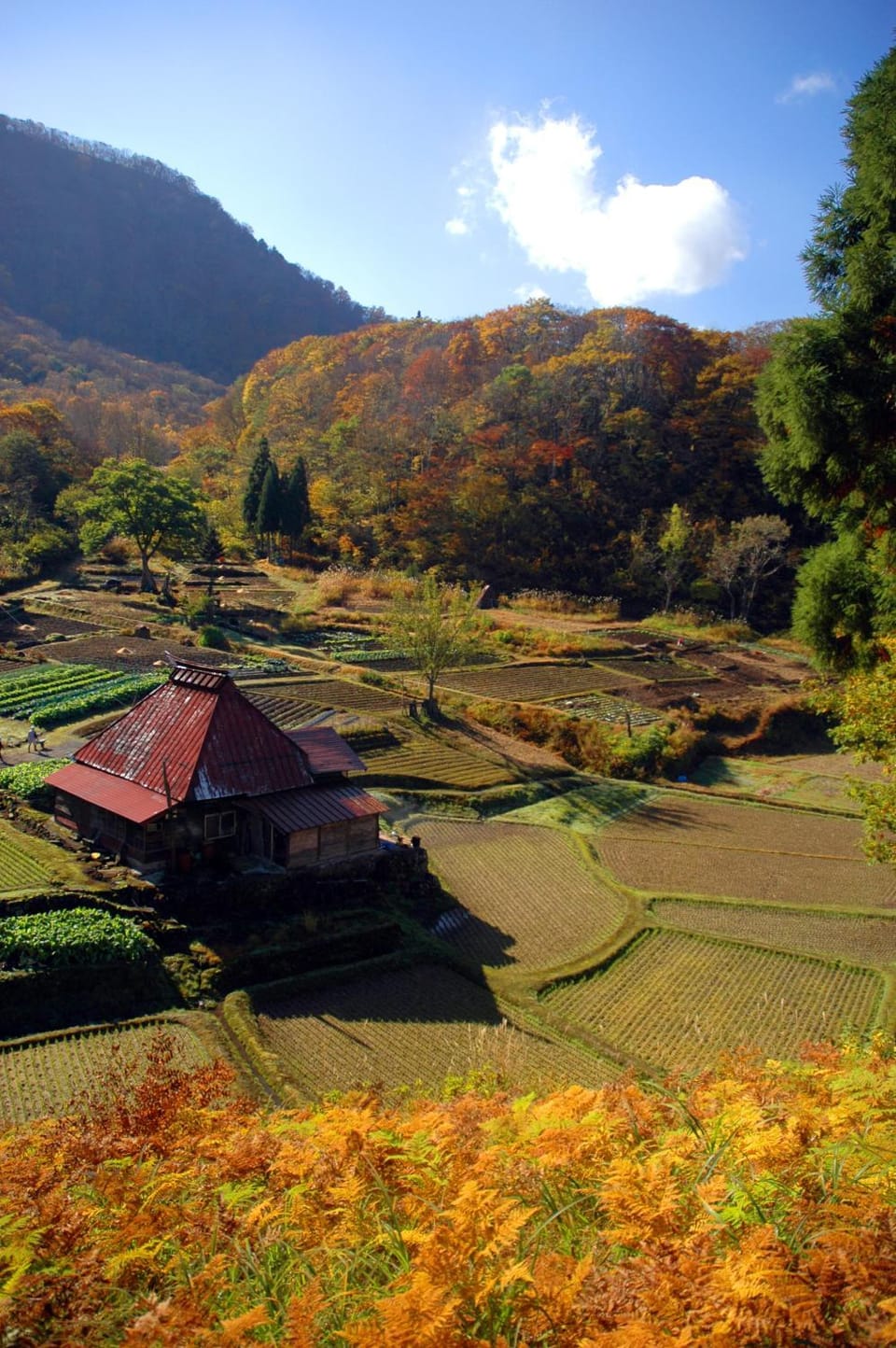Neighbourhood, Natural landscape