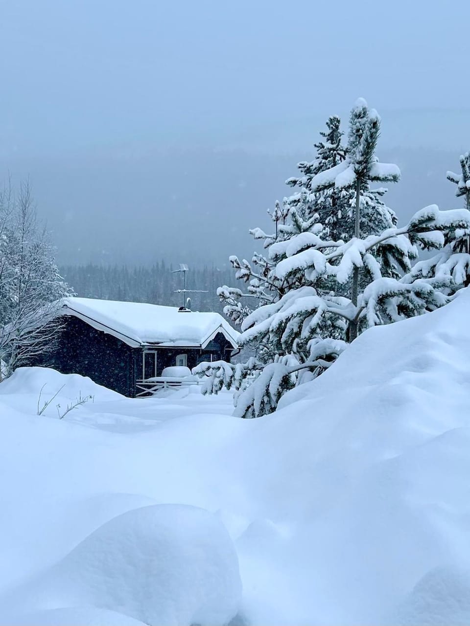 Property building, Natural landscape, Winter