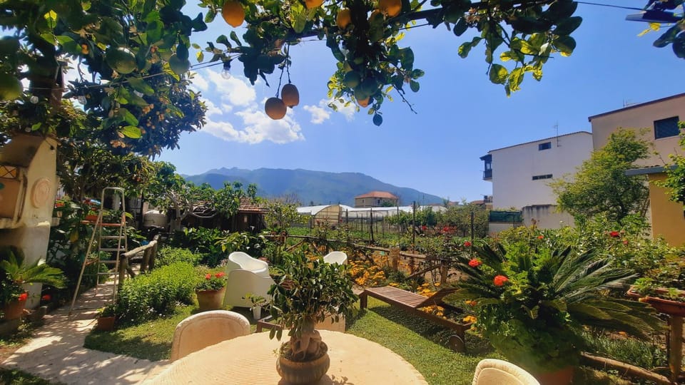 Garden, Mountain view