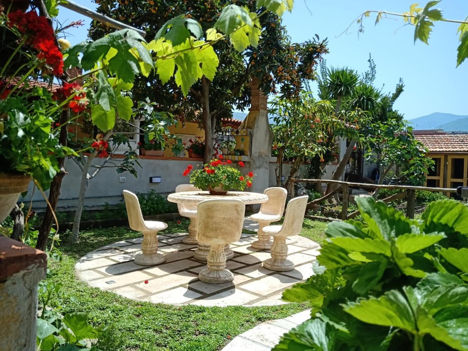 Garden, Garden