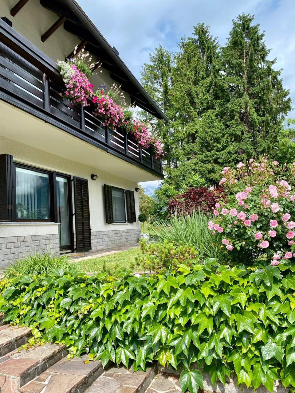 Garden view