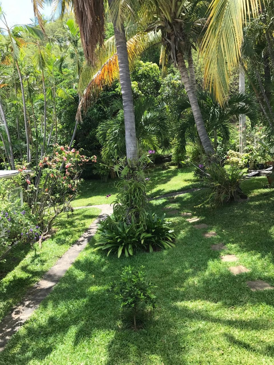 Garden view