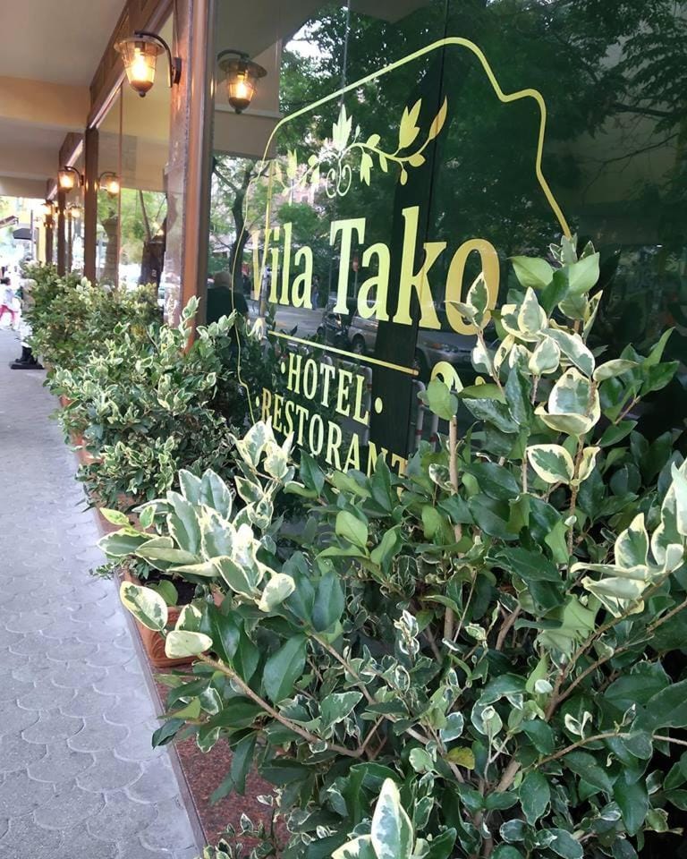 Vila Tako - Hotel Hotel in Tirana