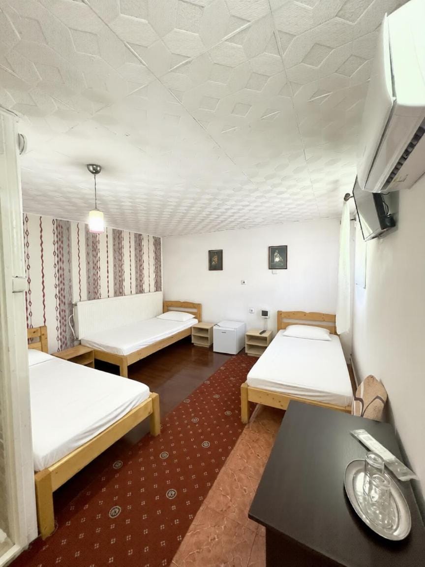Pensiunea Pitaru Bed and Breakfast in Dolj County, Romania