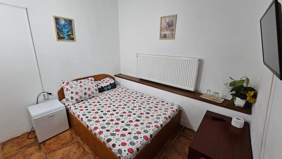 Pensiunea Pitaru Bed and Breakfast in Dolj County, Romania