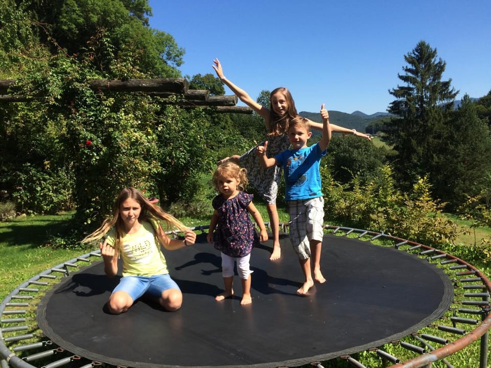 Zeidelhof Farm Stay in Austria