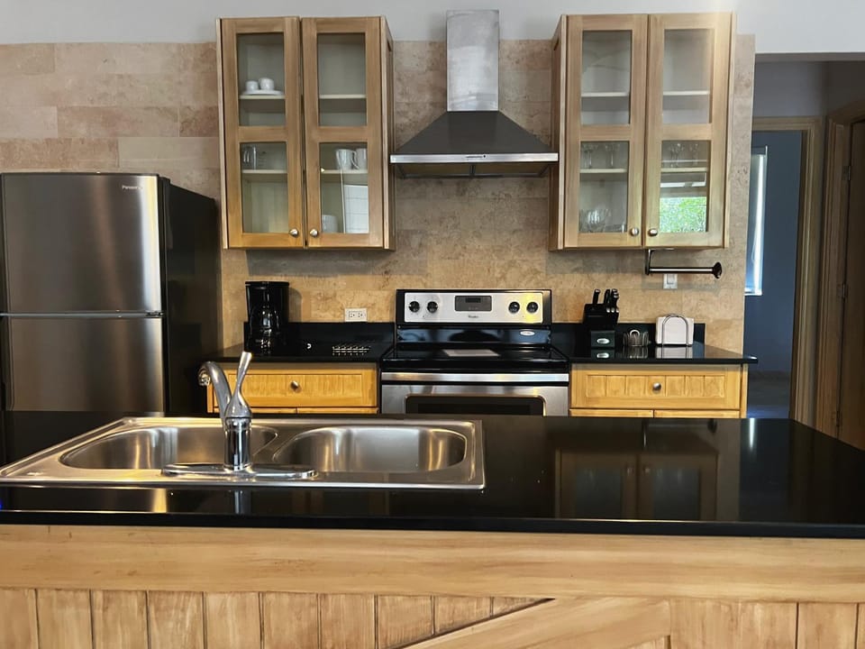 Kitchen or kitchenette, kitchen