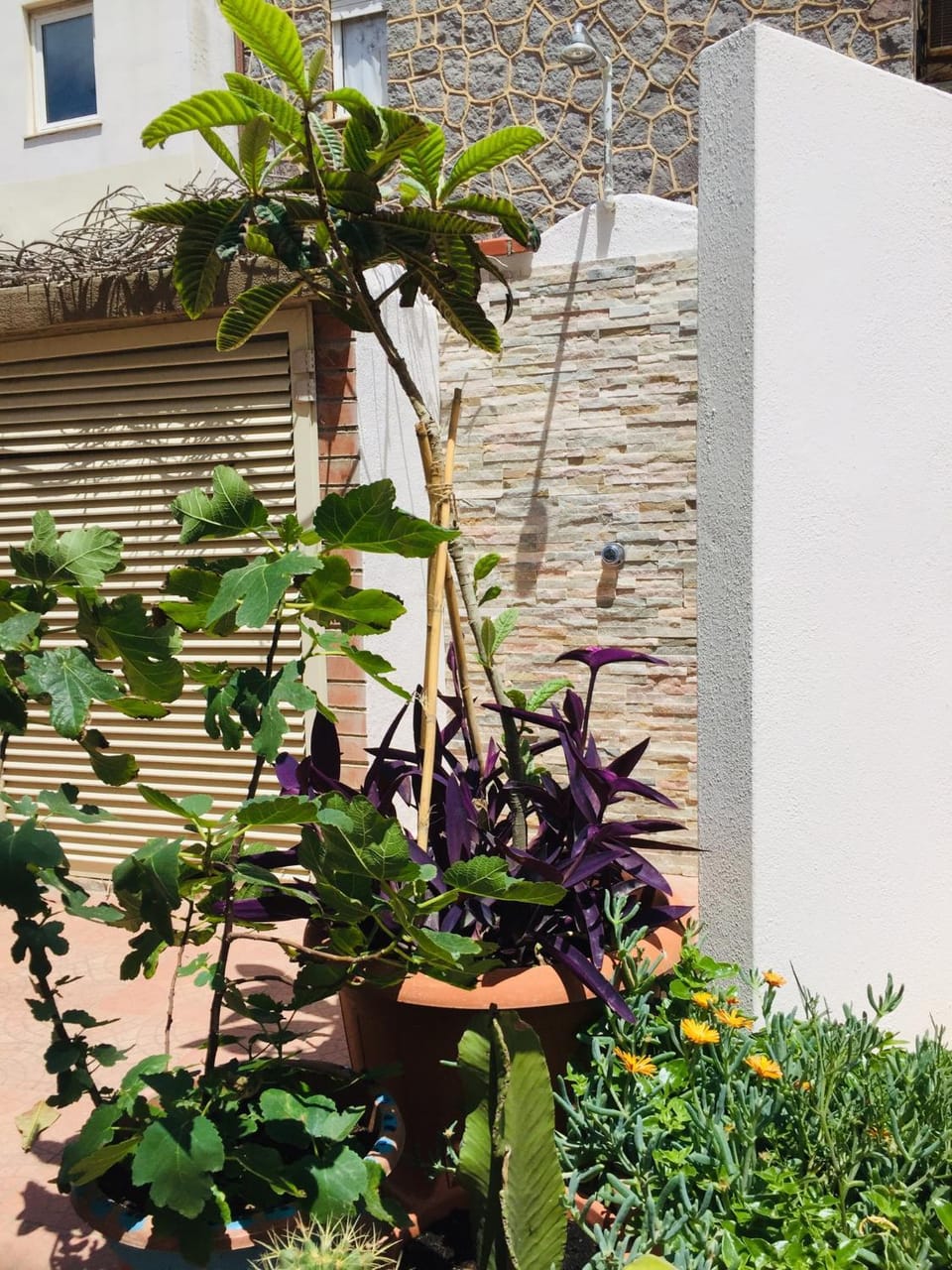 Patio, On site