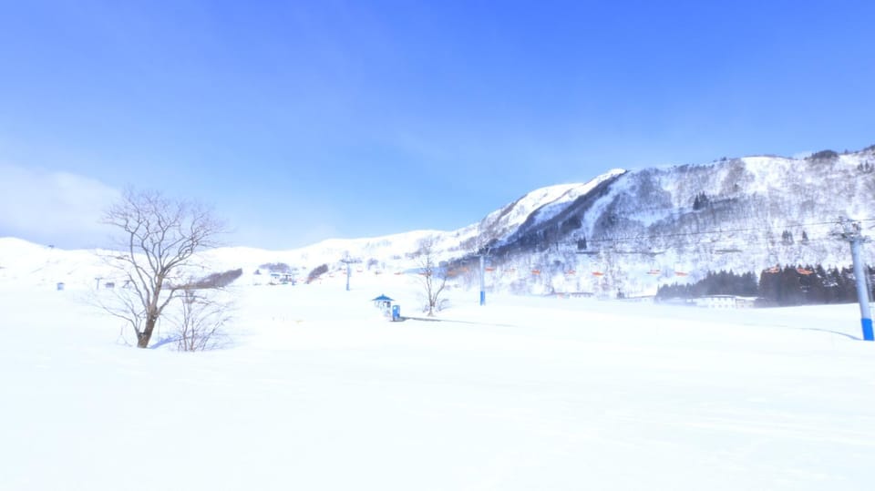 Skiing