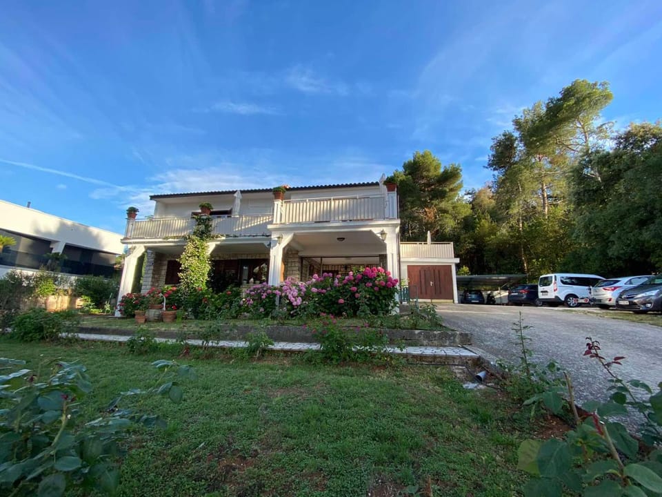 Patio, Garden, Street view