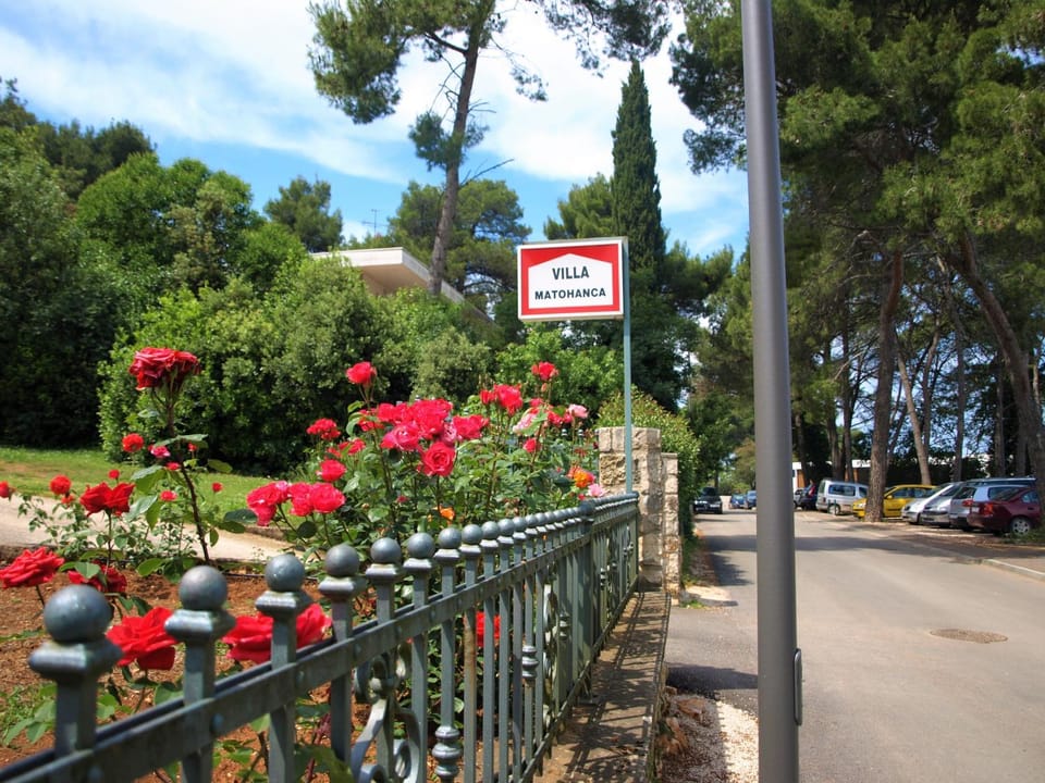 Property logo or sign, Garden, Text overlay, Street view