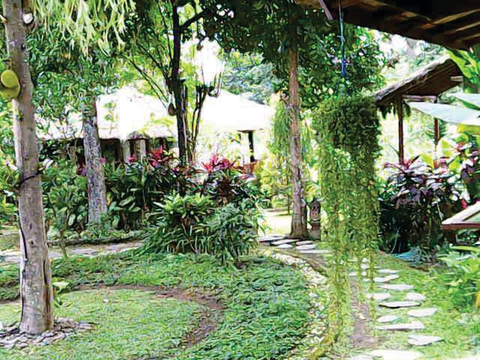 Facade/entrance, Garden