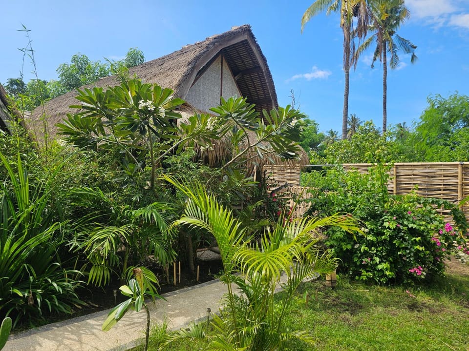 Property building, Garden view