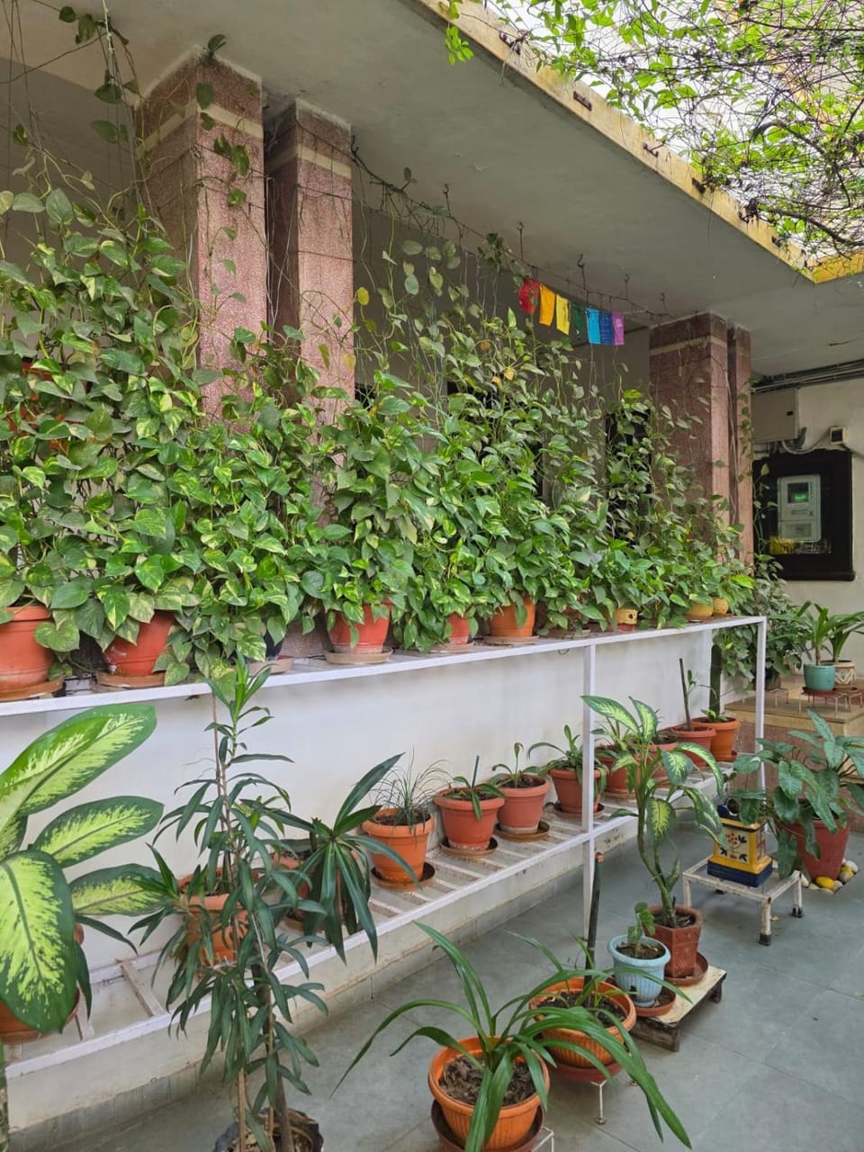 Srinekatan Heritage Villa Homestay Bed and Breakfast in Ahmedabad