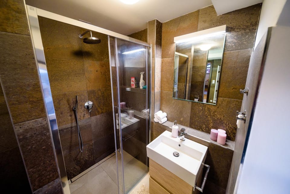 Shower, Bathroom, Garden view, Street view