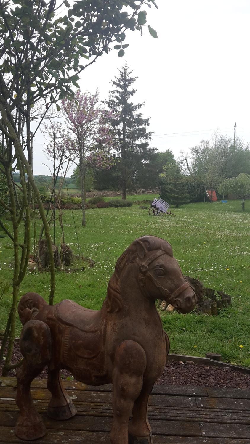 Garden view