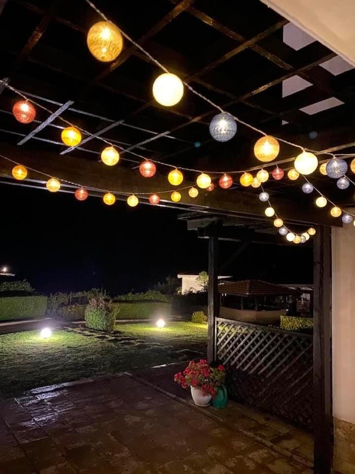 Garden, Balcony/Terrace