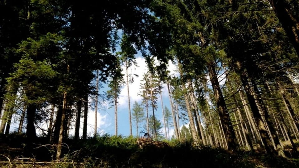 Natural landscape