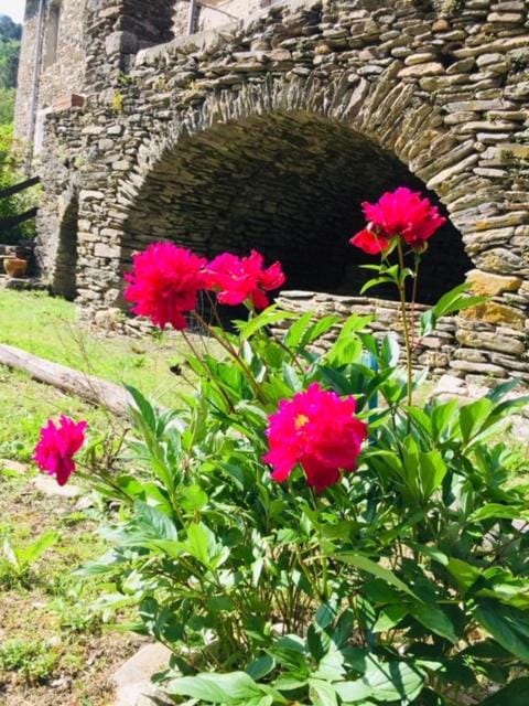 Gîte Valescure Apartment in Auvergne-Rhône-Alpes