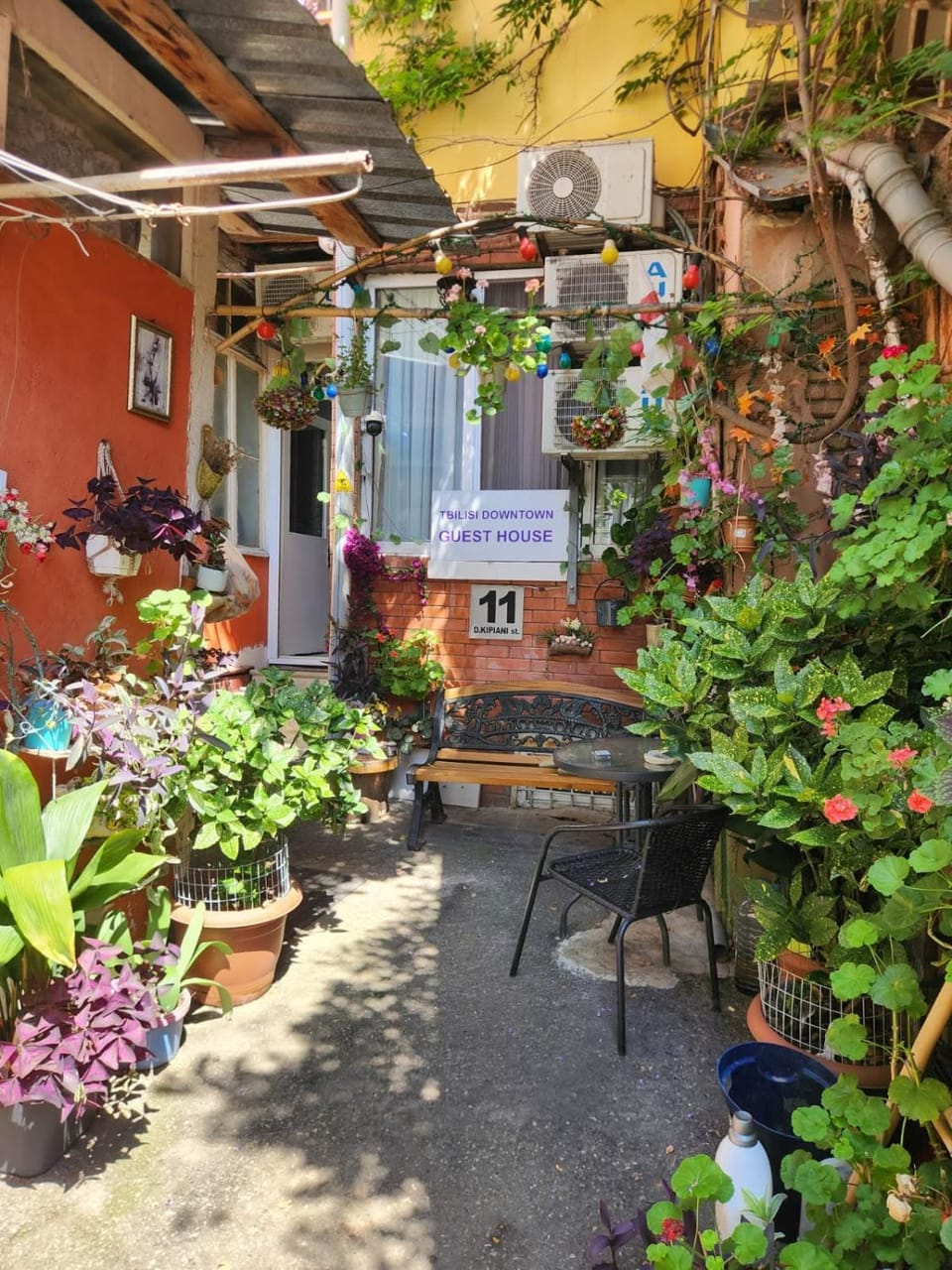 Garden