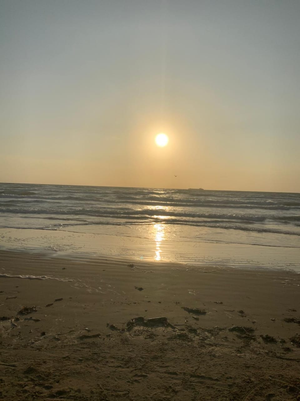 Bahama Breeze #2 Sea Dancer Condos Apartment in South Padre Island