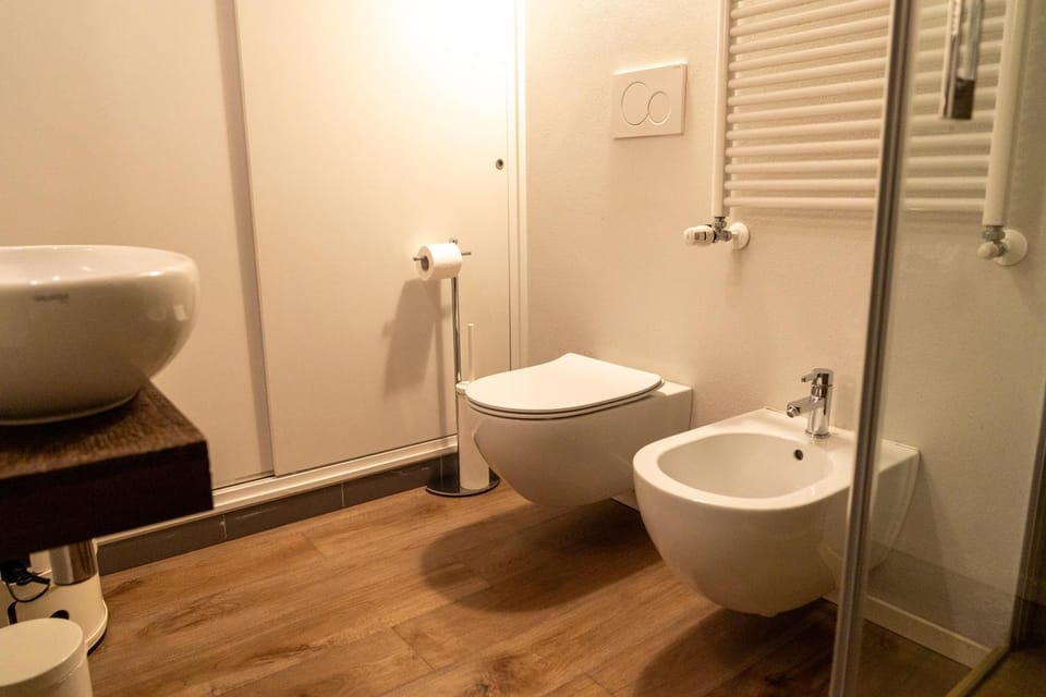 Toilet, Bathroom, bidet