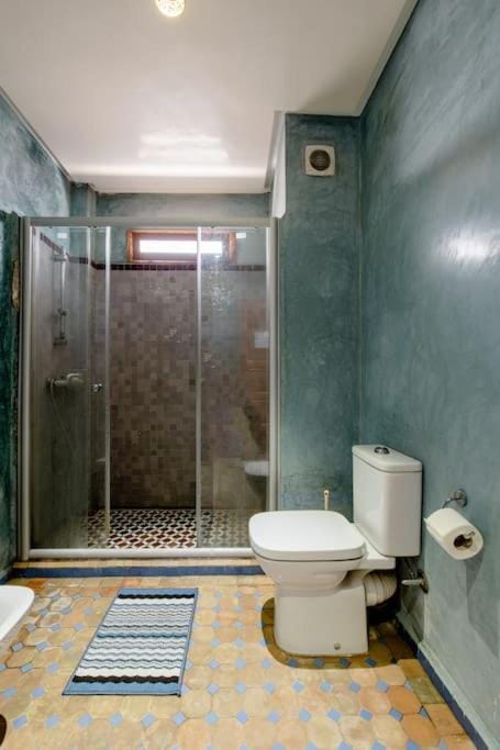 Shower, Toilet, Bathroom, bidet