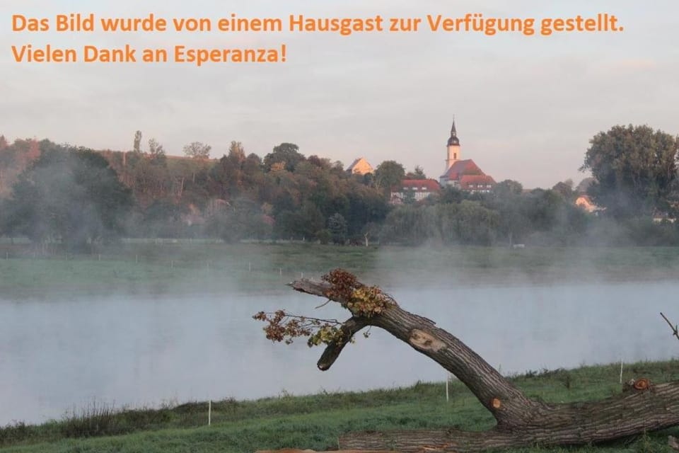 Natural landscape