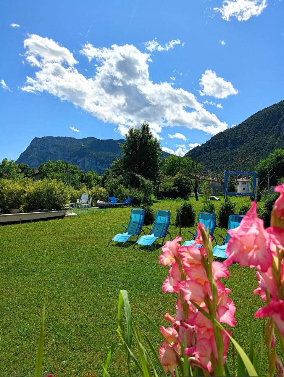 Summer, Garden