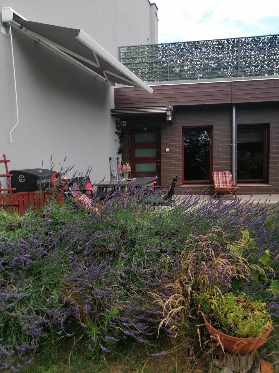 Property building, Garden view