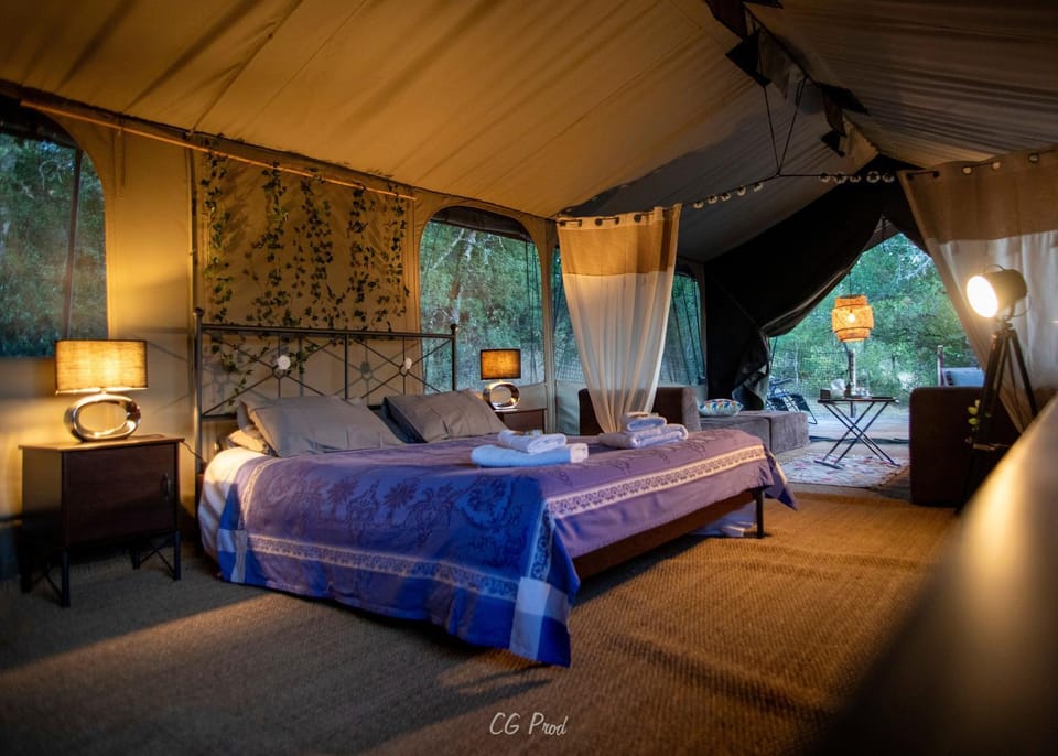 Bed, View (from property/room), Photo of the whole room