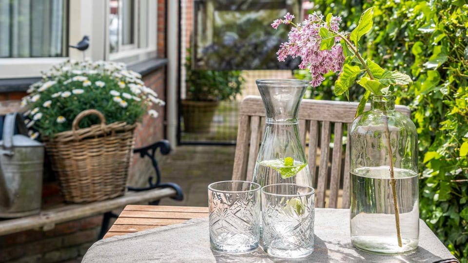 Patio, Drinks