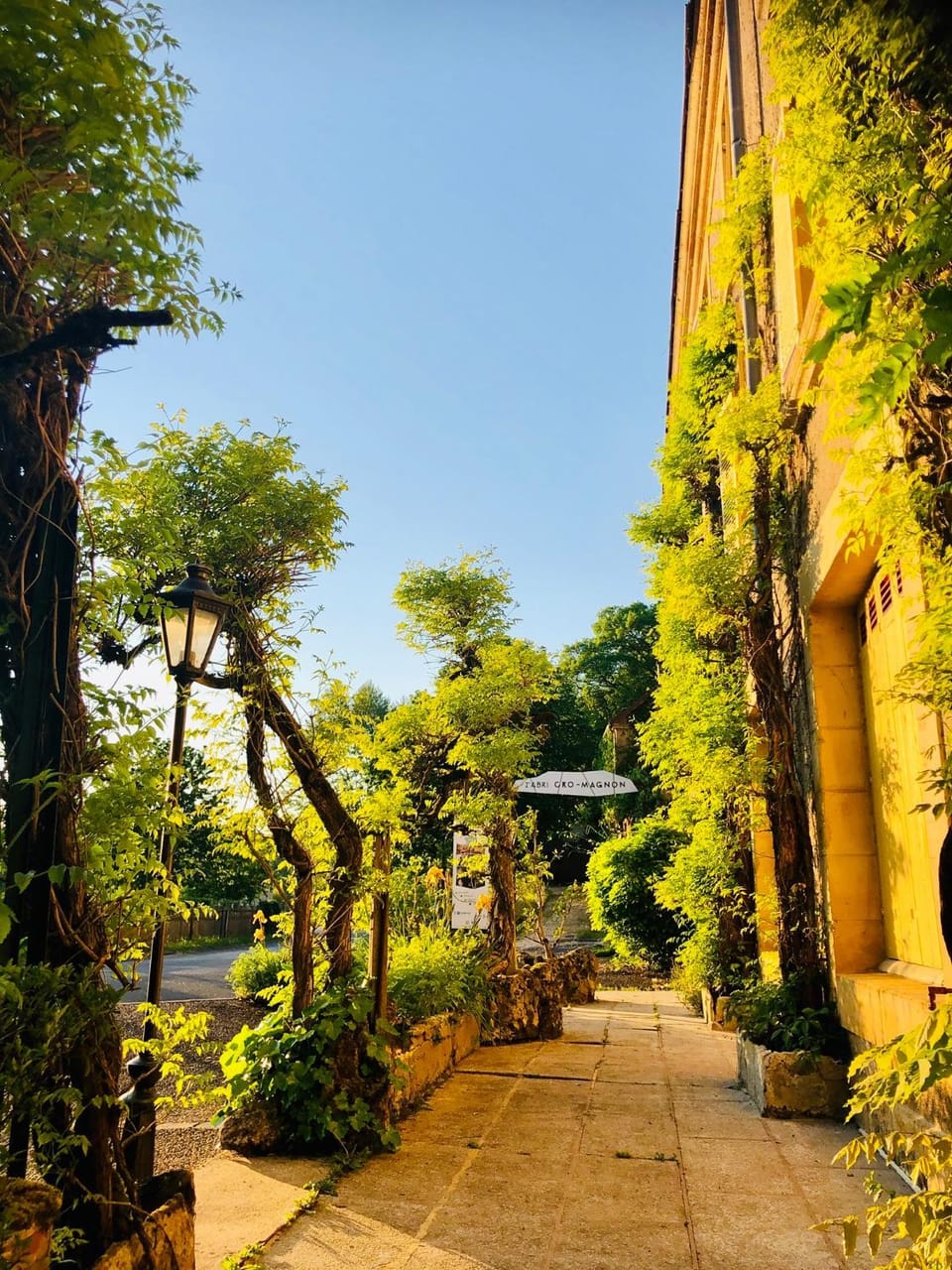 Property building, Garden, Sunset