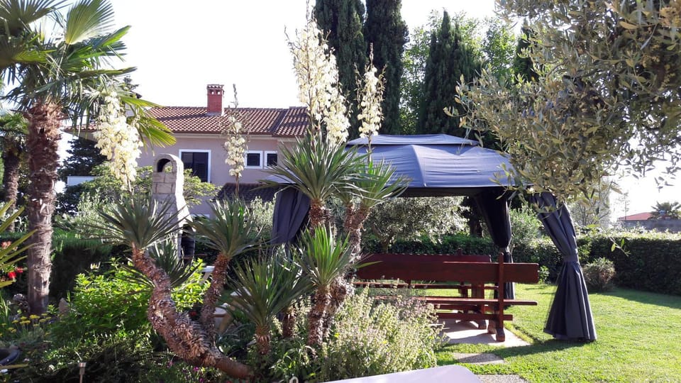 BBQ facilities, Garden