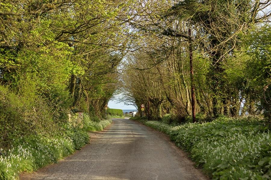 The Moat on the Greenway Apartment in County Waterford
