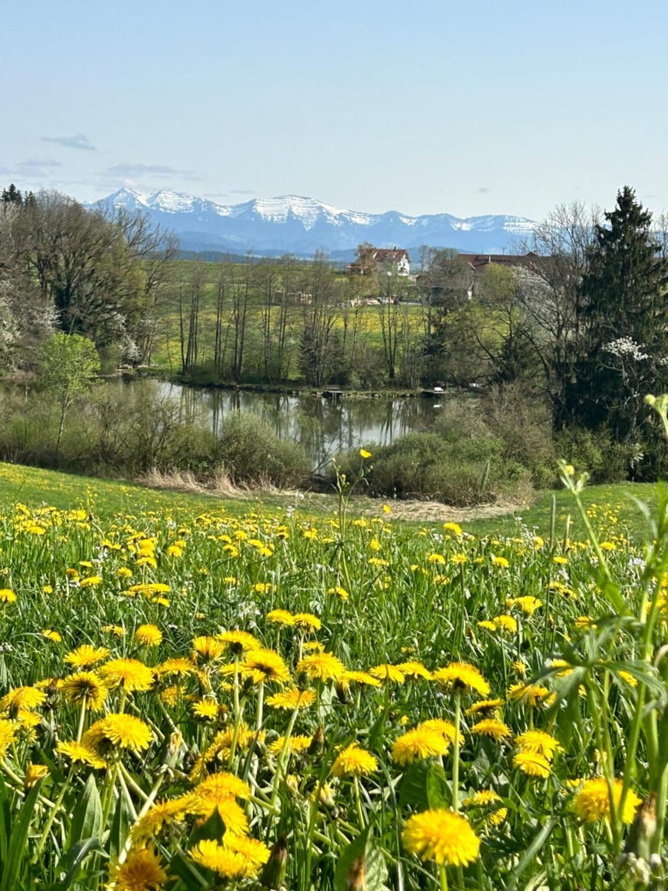 Ferienwohnung Rupp Bergblick & private Sauna Apartment in Baden-Württemberg