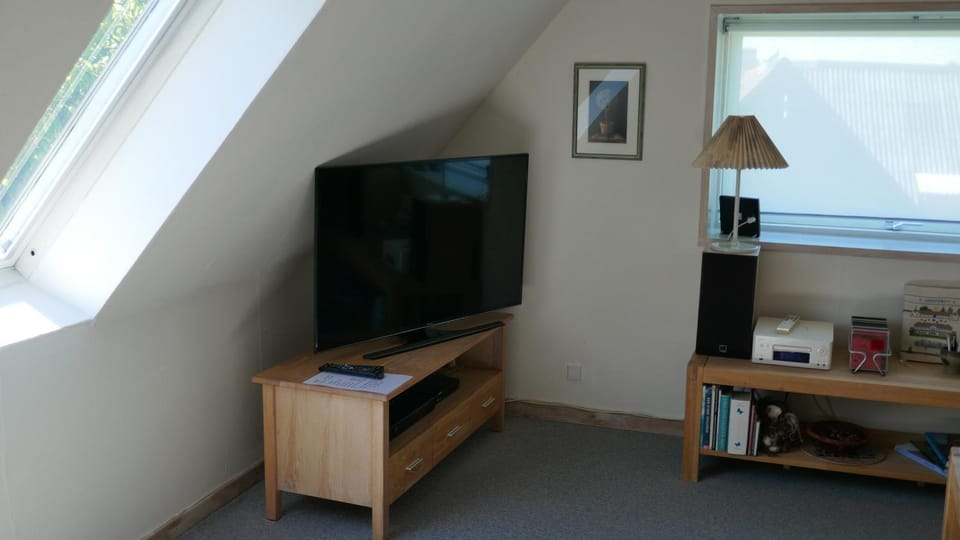 TV and multimedia