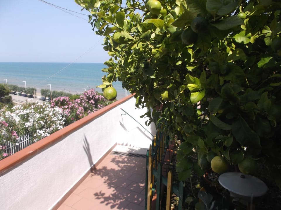Affittacamere Murgenere Bed and Breakfast in San Menaio