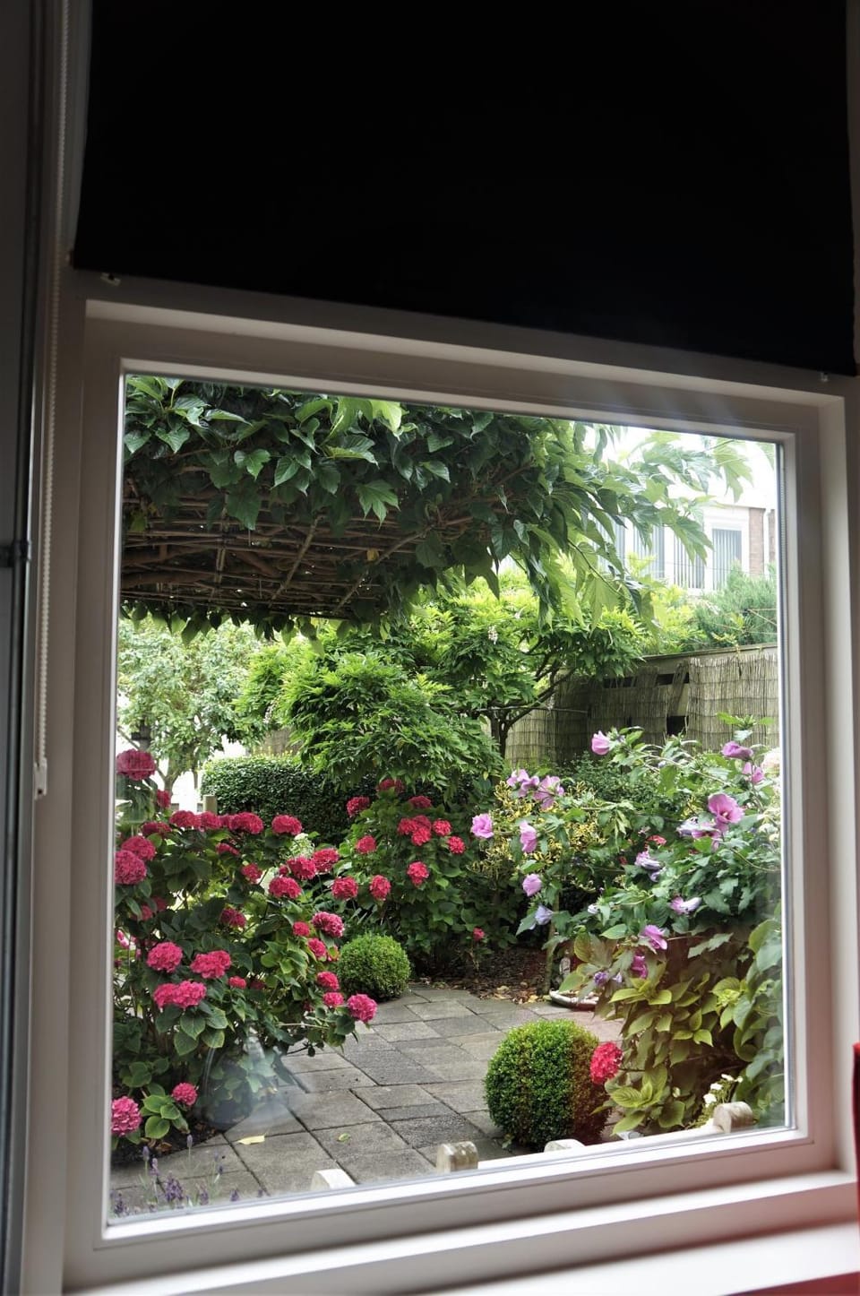 Garden view