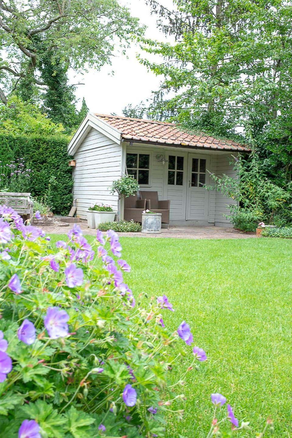 Garden view