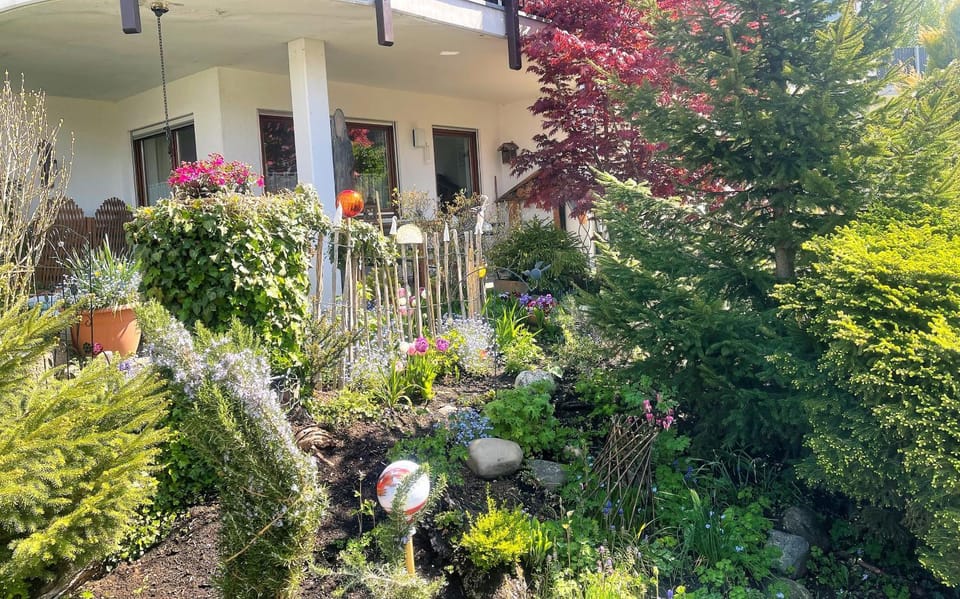 Garden view